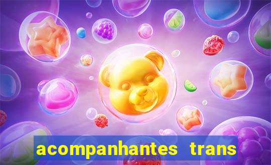 acompanhantes trans baixada fluminense